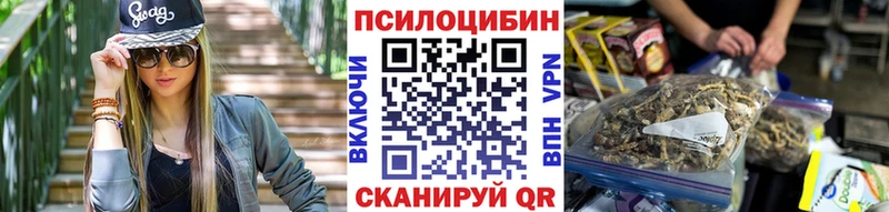 Псилоцибиновые грибы Cubensis  купить закладку  Калачинск 