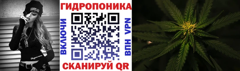 Конопля Amnesia  даркнет сайт  Калачинск 